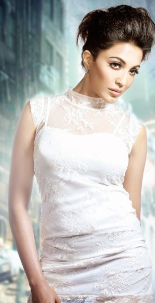 Parvathy Nair Kollywood Actress Latest Spicy Photo Shoot