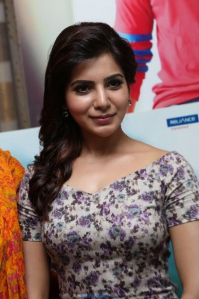 Cute Samantha Latest Stills from AD Success Meet