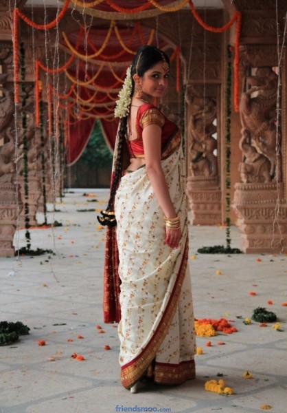 South Indian Actress Sheena Shahabadi Latest Photos in White Saree