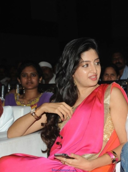 Poonam Kaur Photos in Saree at Aadu Magaadura Bujji Audio Event