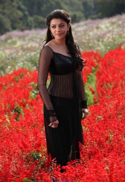Kajal Aggarwal Latest Photos from Jilla Movie