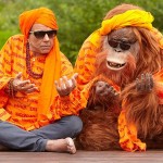 Yamla Pagla Deewana 2 Movie Review
