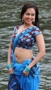 Sana Khan Hot Photos from the Movie Gajjala Gurram-Friendsmoo