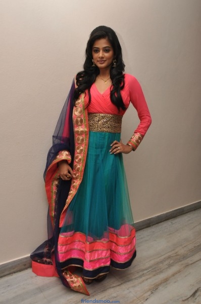 Priyamani Indian Actress Latest Photos on Chandini Movie Press Meet