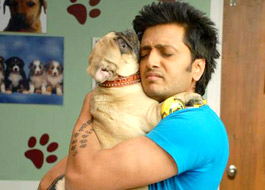 Fakhruddin becomes Fakhru in Kyaa Super Kool Hain Hum