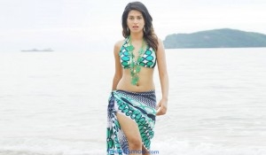 Shraddha Das Latest Hot Photos - Tollywood - Friendsmoo